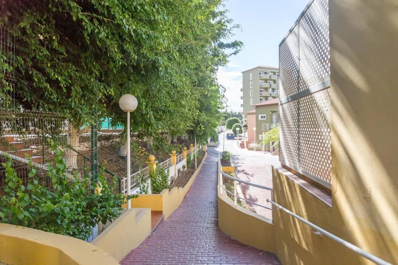 Apartment Orlando Tenerife Sur Bamby And Daisy And Mikey Costa Adeje