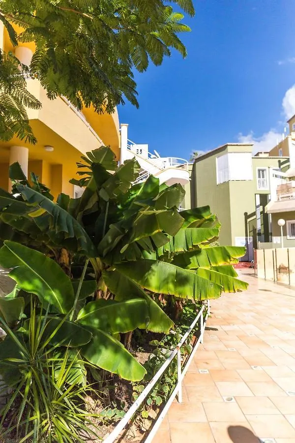 Apartment Orlando Tenerife Sur Bamby And Daisy And Mikey Costa Adeje
